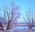 Солнечно и по-осеннему тепло будет 8 декабря в Сахалинской области