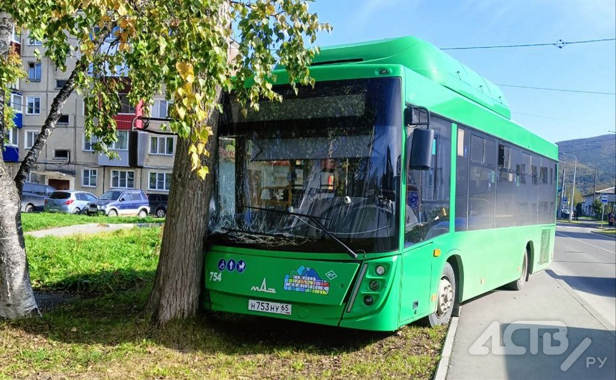 В Южно-Сахалинске автобус вынесло на тротуар, его остановило дерево 