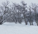 Сильный снег прогнозируют в отдельных районах Сахалина 3 марта