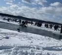Сахалинцы утопили снегоход во время попытки проскочить широкую трещину на льду