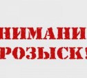 Мужчину, который пропал семь лет назад, разыскивает сахалинская полиция