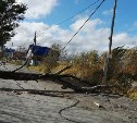В Южно-Сахалинске поваленное дерево перегородило улицу Горную
