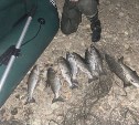 Инспекторы выявили 70 нарушений в рыболовстве на Сахалине за неделю