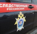 Смерть ребёнка в Южно-Сахалинске привела ко второму уголовному делу
