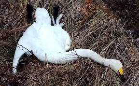 Происшествия