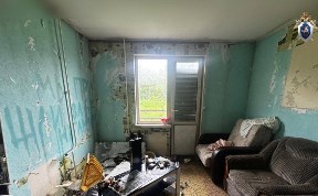 Происшествия