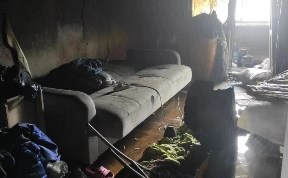 Происшествия