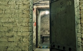 Общество