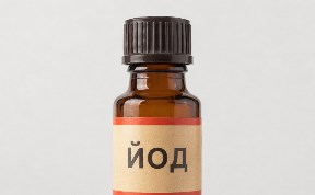 Общество