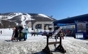 Общество
