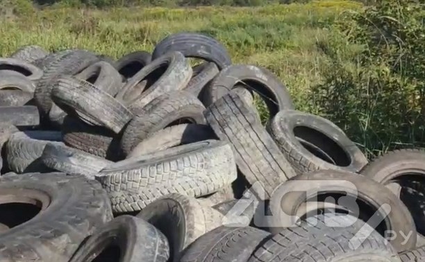 Заброшенное село на Сахалине превратили в свалку шин и рыбных отходов