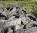 Заброшенное село на Сахалине превратили в свалку шин и рыбных отходов