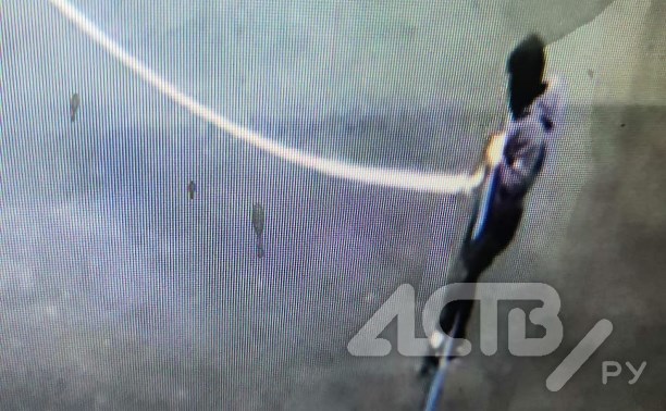 Ребёнок в маске в Южно-Сахалинске снял волейбольную сетку и сбежал с добычей