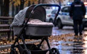 Общество
