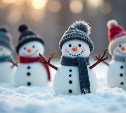 Устроим парад: сахалинцев приглашают на День снеговика