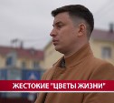 "Видео выходили систематически": ставший жертвой ИИ-травли педагог рассказал подробности astv.ru