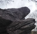 Природному памятнику "Лягушка" исполнилось 42 года
