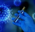 На Сахалине за сутки подтвердили 67 случаев коронавируса