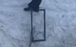 Происшествия