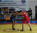 В Шахтерске прошел II областной турнир по вольной борьбе (ФОТО)