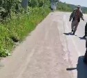 Выживший во время нападения медведя сахалинец обращался за медпомощью