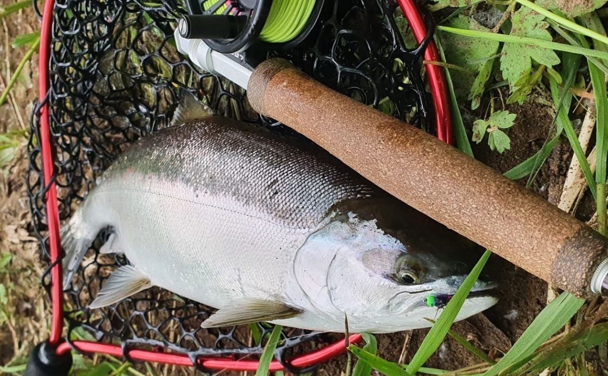 С 1 мая на Сахалине стартует сезон любительского лова симы 