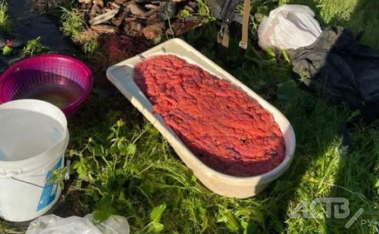 "А это вообще легально?": сахалинец выложил фотографию ванны, полной красной икры