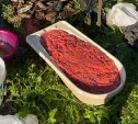 "А это вообще легально?": сахалинец выложил фотографию ванны, полной красной икры