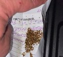 Наркотики в ветеринарном рецепте нашли во внедорожнике в Южно-Сахалинске
