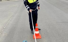 Происшествия