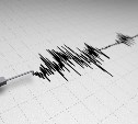 Землетрясение произошло в районе Северо-Курильска