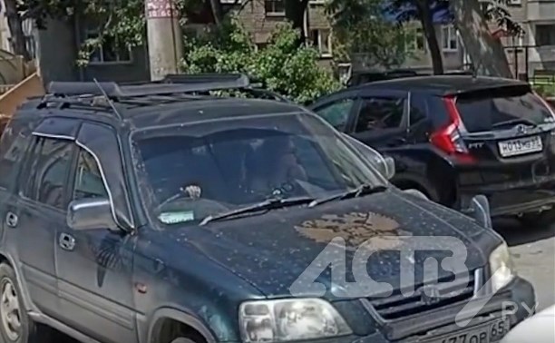 "Тебе телефон сломать?": автомобилистка прорвалась "против шерсти" по односторонней дороге в Южно-Сахалинске