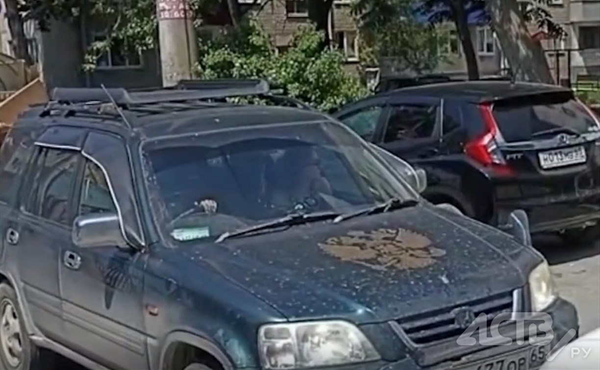 "Тебе телефон сломать?": автомобилистка прорвалась "против шерсти" по односторонней дороге в Южно-Сахалинске