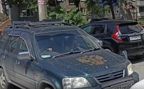 Происшествия