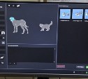 В сахалинской ветклинике появился новый портативный рентген: снимки за 3 секунды и меньше стресса для животных