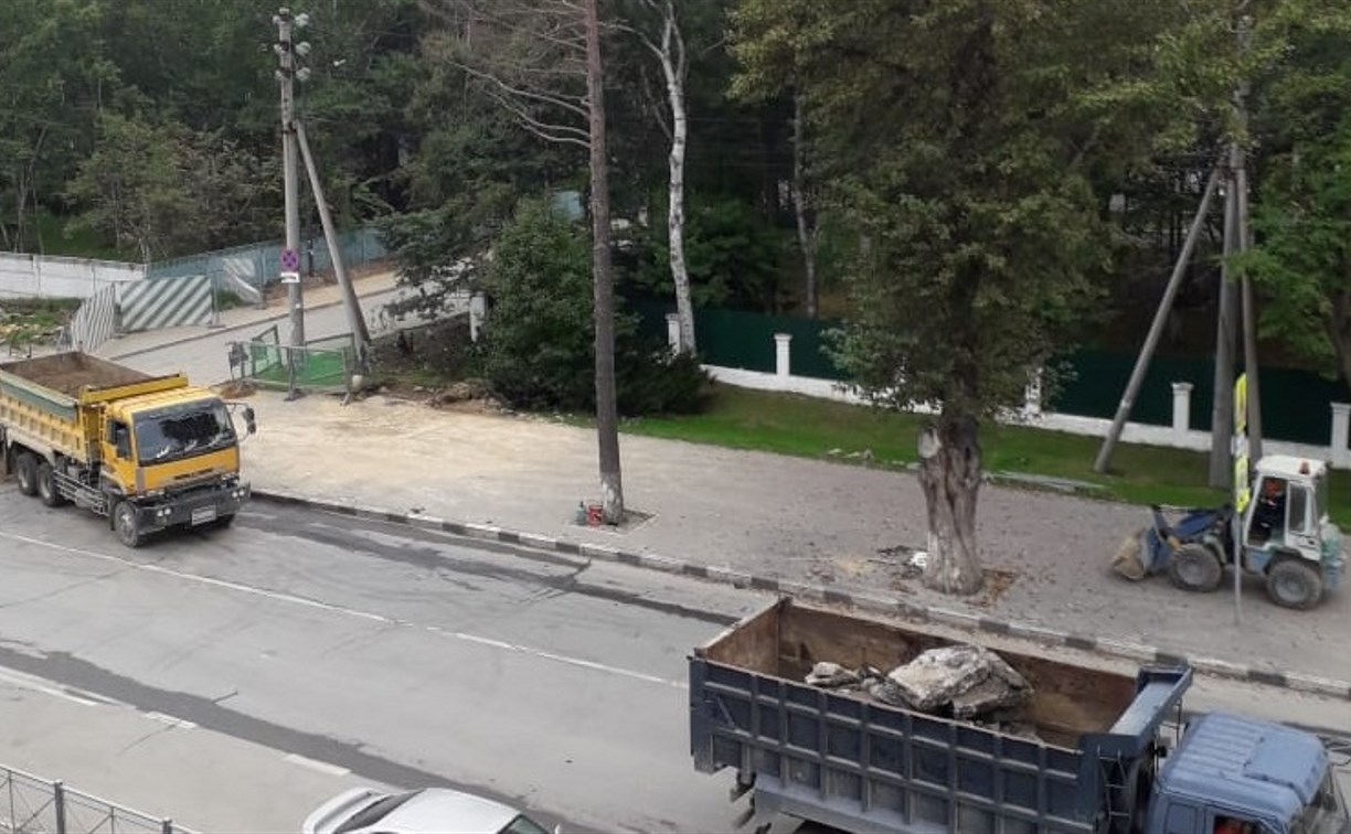 В Южно-Сахалинске пообещали найти тех, кто спилил краснокижные тисы у входа в парк
