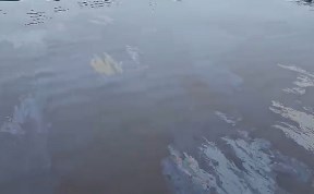 Происшествия