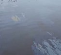 Названа предположительная причина загрязнения залива на севере Сахалина