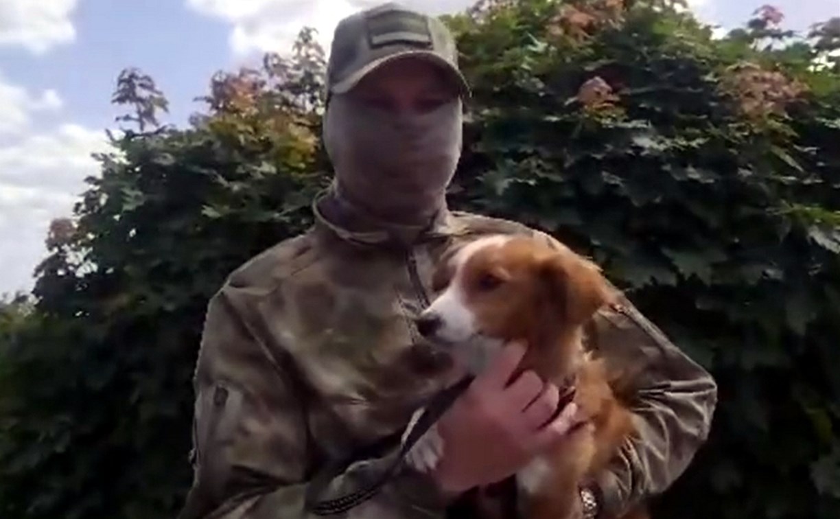 Пёс по кличке Кент спас жизнь сахалинскому бойцу на СВО