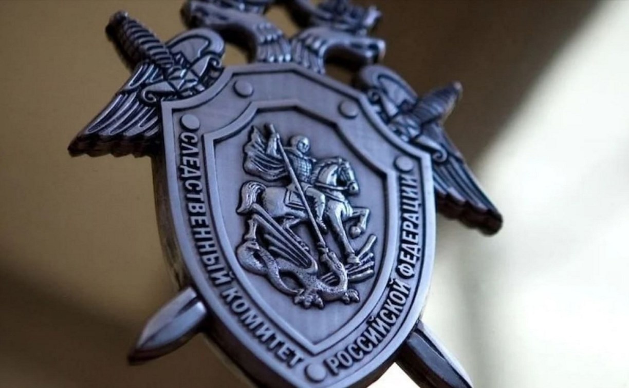 На Сахалине будут судить двух братьев, до смерти забивших знакомого металлическим предметом 