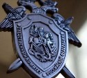 На Сахалине будут судить двух братьев, до смерти забивших знакомого металлическим предметом 