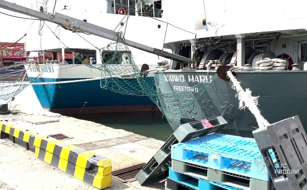 Больше тонны нелегальных товаров привезли на Сахалин из Японии