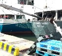 Больше тонны нелегальных товаров привезли на Сахалин из Японии