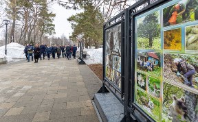 Общество