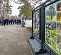 Представители 82 регионов России знакомятся с лучшими практиками на площадках Южно-Сахалинска