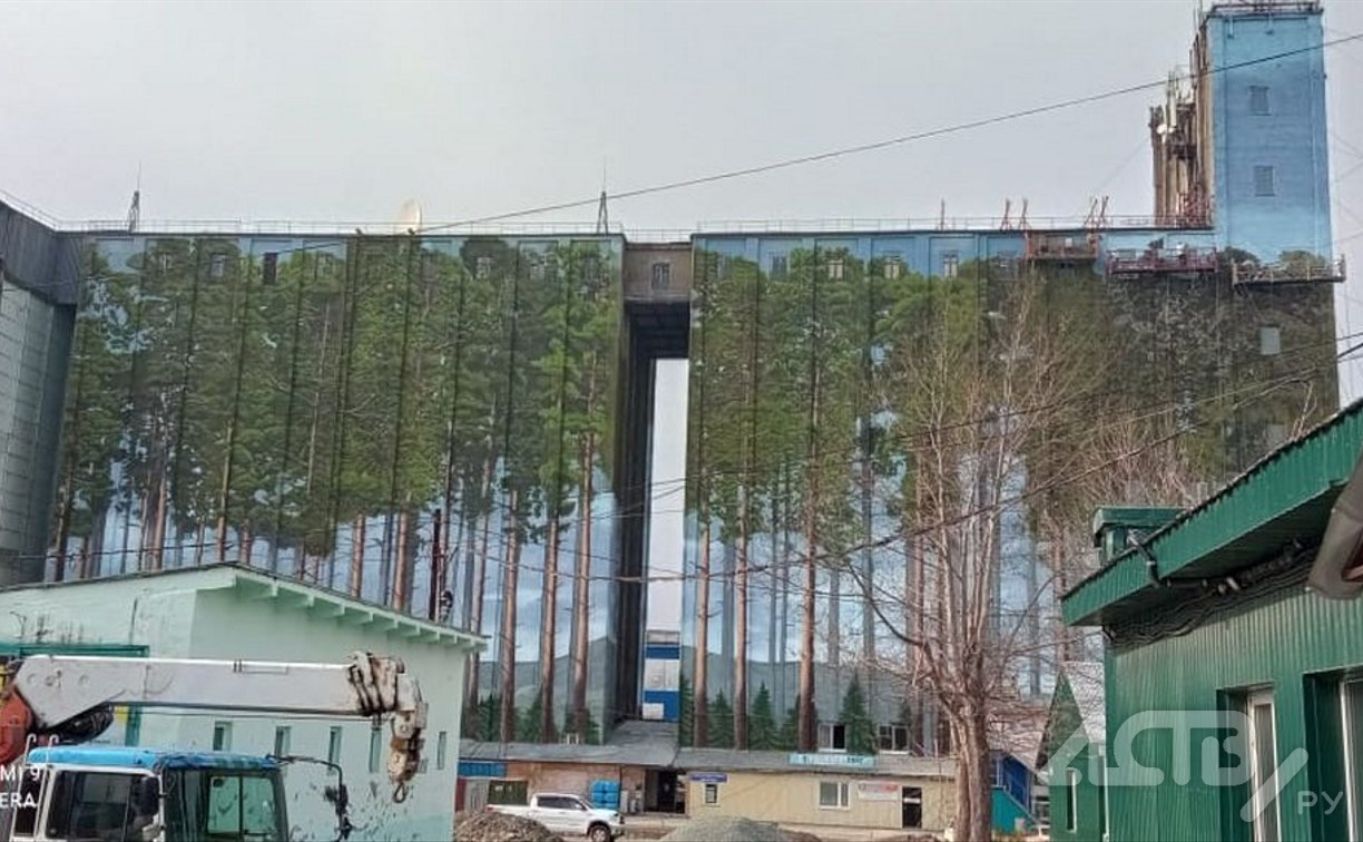 "Самая большая картина в мире": в Южно-Сахалинске разрисовали огромное здание бывшего элеватора