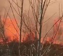 Трава горела у взлётной полосы аэропорта в Южно-Сахалинске