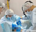 Ветеринары на Сахалине удалили гигантскую опухоль у собаки солидного возраста