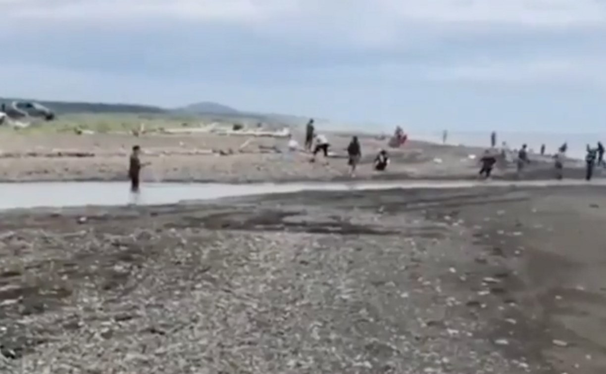 Десятки рыбаков с сачками заметили на нерестовой реке на Сахалине