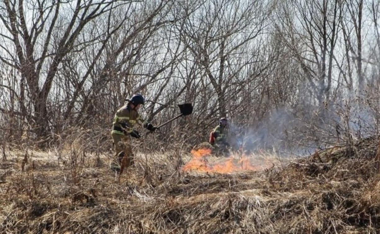В Углегорске выгорело 50 квадратов сухой травы